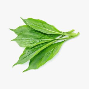 product-5-min